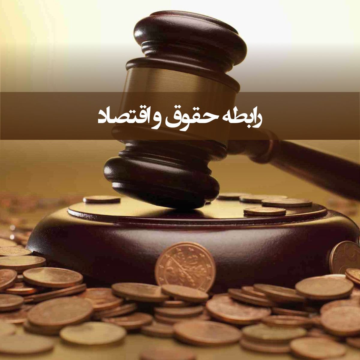خلاصه سخنرانی دکتر سیدحسین صفایی درباره رابطه حقوق و اقتصاد