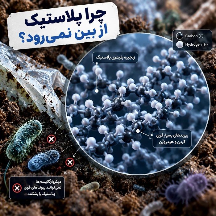 داستان پلاستیک: از یک اختراع شگفتانگیز تا بحرانی برای محیط زیست سیاره ما