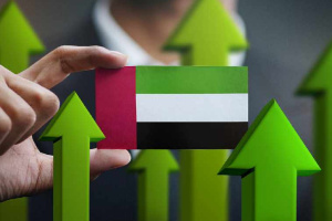 نقش سرمایه‌گذاری خارجی در اقتصاد امارات متحده عربی