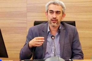 مدنی زاده از رشد ۵۳ درصدی واردات کالاهای اساسی خبر داد